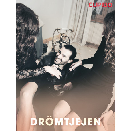 Drömtjejen - erotiska noveller