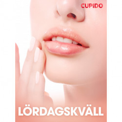 Lördagskväll - erotiska noveller