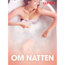 Om natten - erotisk novell