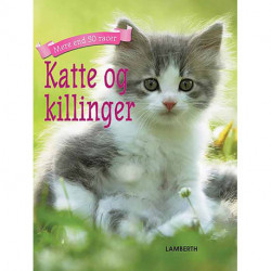 Katte og killinger