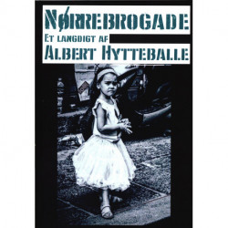 Nørrebrogade: - en digtsuite