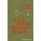 Lille dansk samtidsroman