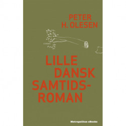 Lille dansk samtidsroman
