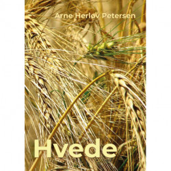 Hvede