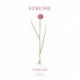 Strunk