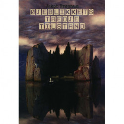 Øjeblikkets tredje tilstand