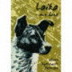 Laika - min hund