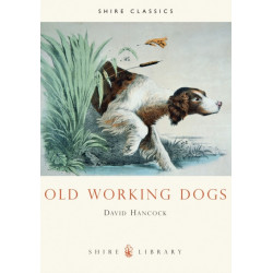 Old Working Dogs