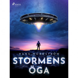 Stormens öga