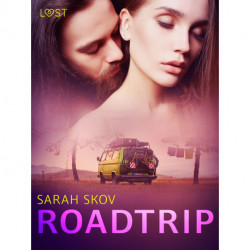 Roadtrip – erotisk novell