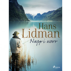 Napp i norr