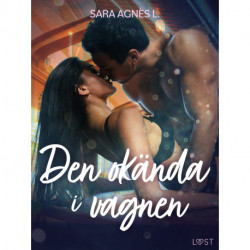 Den okända i vagnen - erotisk novell