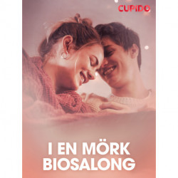 I en mörk biosalong – erotisk novell