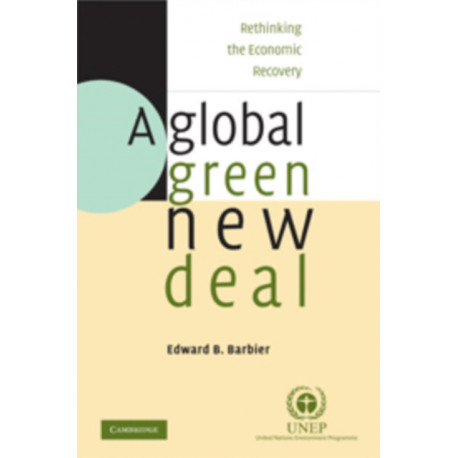 A Global Green New Deal: Rethinking the Economic Recovery