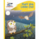 Reading Planet - Fluff the Little Owl - Yellow Plus: Rocket Phonics