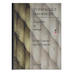 Tværfagligt samarbejde: perspektiv og strategi