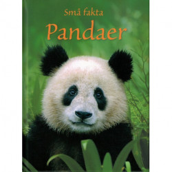 Små fakta: Pandaer