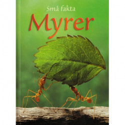 Små fakta: Myrer