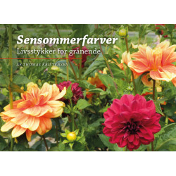 Sensommerfarver: Livsstykker for grånende