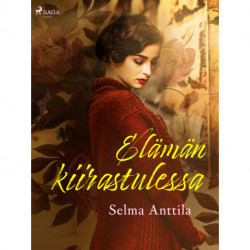 Elämän kiirastulessa