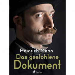 Das gestohlene Dokument