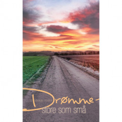 Drømme - store som små: 12 udvalgte noveller
