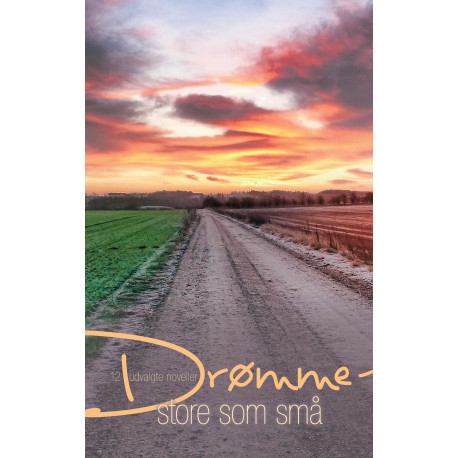 Drømme - store som små: 12 udvalgte noveller