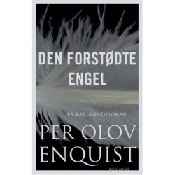 Den forstødte engel: En kærlighedsroman