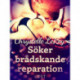 Söker brådskande reparation - erotisk novell