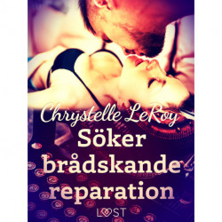 Söker brådskande reparation - erotisk novell