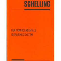 Den transcendentale idealismes system