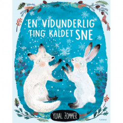 En vidunderlig ting kaldet sne