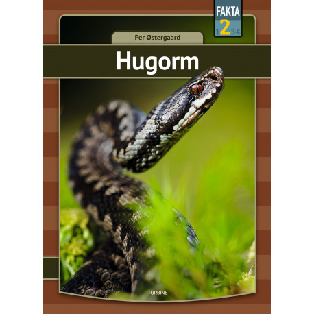 Hugorm