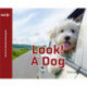 Look! A Dog
