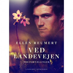 Ved landevejen. Tre fortællinger