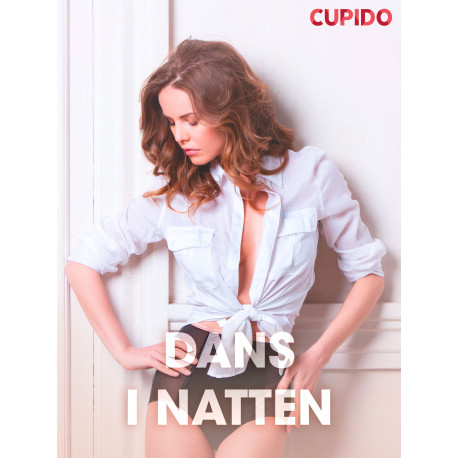 Dans i natten – erotiske noveller