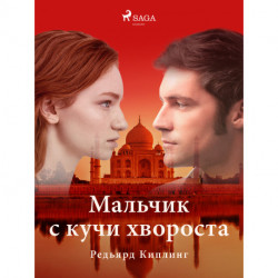 Мальчик с кучи хвороста