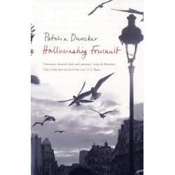 Hallucinating Foucault