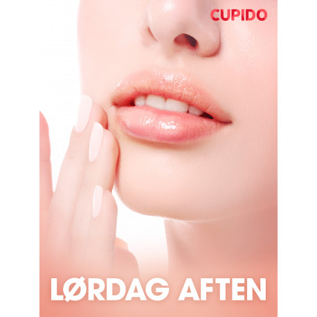 Lørdag aften - erotiske noveller