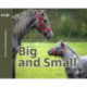 Big and Small (svenske gloser)