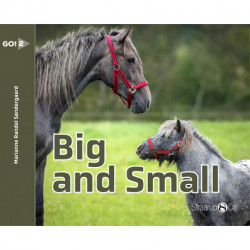 Big and Small (svenske gloser)