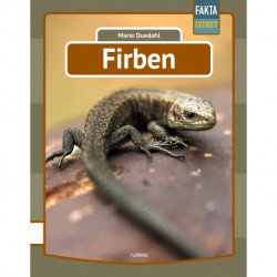 Firben