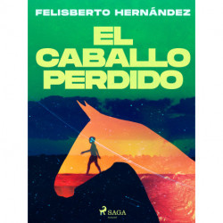 El caballo perdido