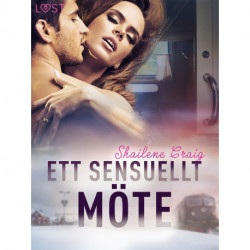 Ett sensuellt möte - erotisk novell