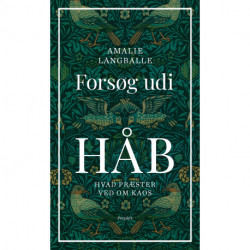 Forsøg udi håb: Hvad præster ved om kaos