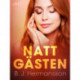 Nattgästen - erotisk novell