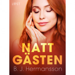 Nattgästen - erotisk novell