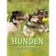 Hunden