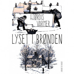 Lyset i brønden