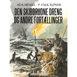 Den skibbrudne dreng og andre fortællinger